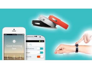 赛亿科技 以智能控制引领物联网应用服务新纪元